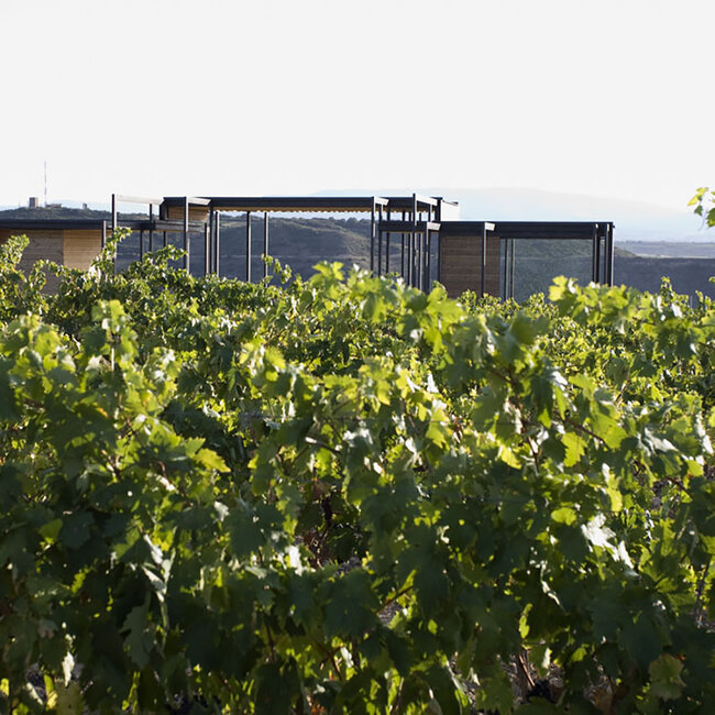 Cune Viña Real Gran Reserva 2017 0.75 l