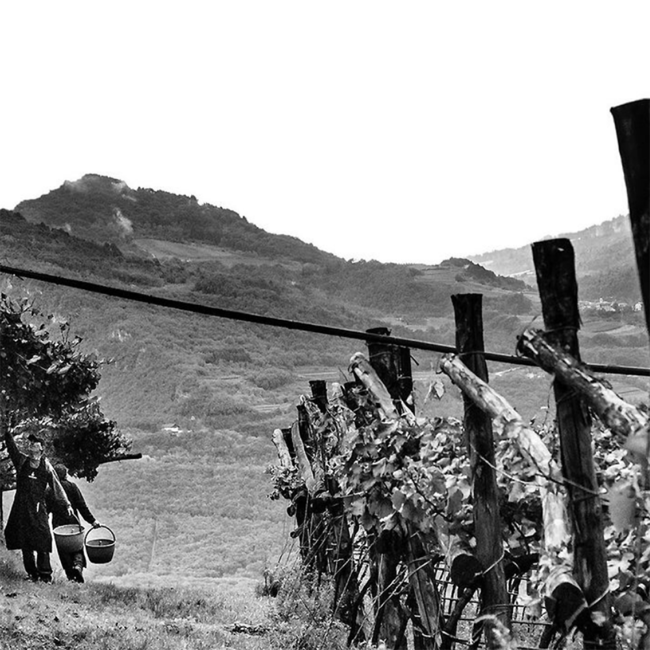 Riserva Lunelli Trento DOC Extra Brut 2015 0.75 l 12.5 % vol