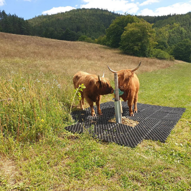 Riesling Ried Loiserberg 1ÖTW 2022 0.75 l