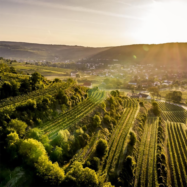 Riesling Belle Fleur 2020 0.75 l