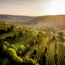 Riesling Belle Fleur 2020 0.75 l