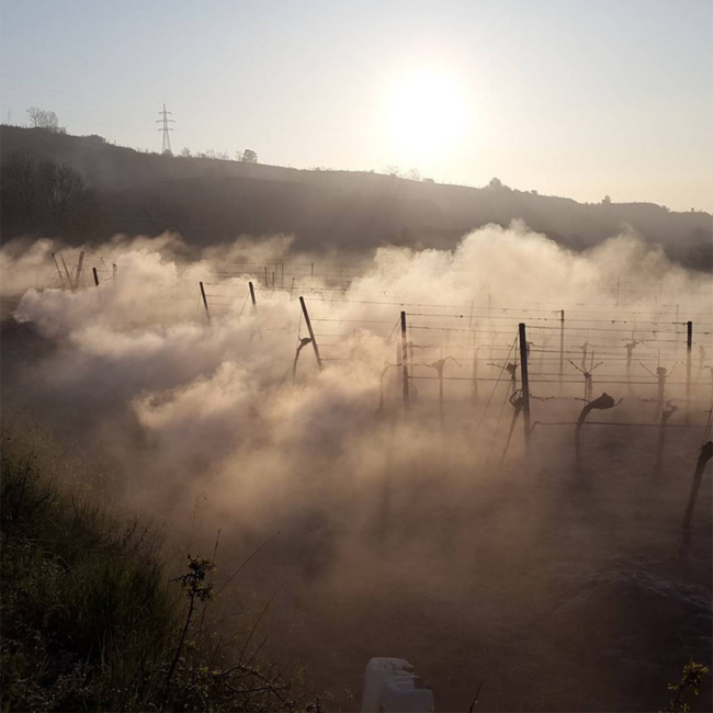 Grüner Veltliner Käferberg 1ÖTW DAC Reserve 2018 0.75 l