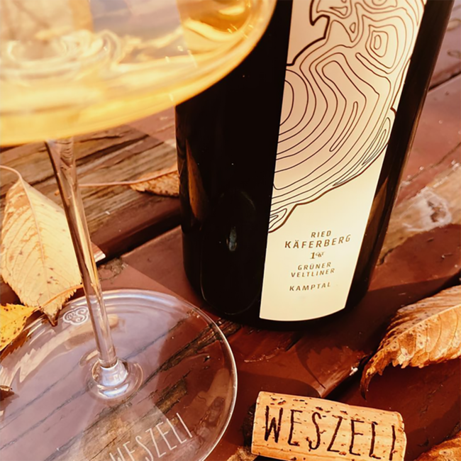 Grüner Veltliner Käferberg 1ÖTW DAC Reserve 2018 0.75 l