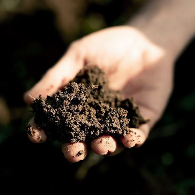 Grüner Veltliner Käferberg 1ÖTW DAC Reserve 2018 0.75 l