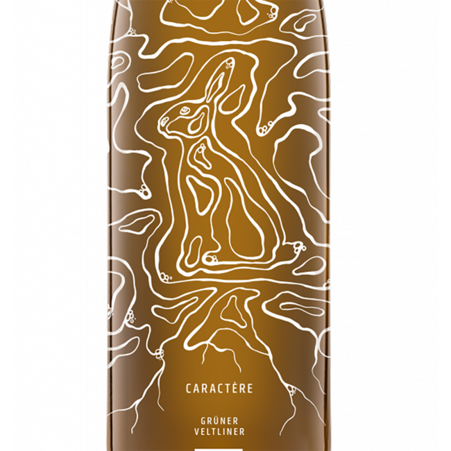 Grüner Veltliner Caractère 2022 0.75 l