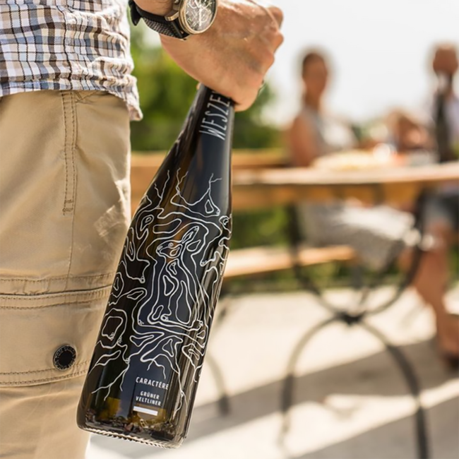 Grüner Veltliner Caractère 2022 0.75 l