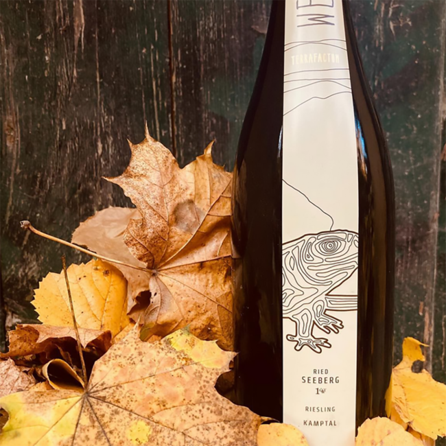 Riesling Seeberg 1ÖTW DAC Reserve 2018 0.75 l