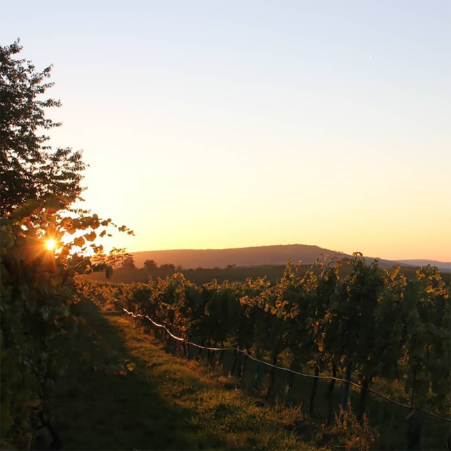 Riesling Seeberg 1ÖTW DAC Reserve 2018 0.75 l