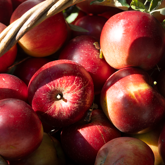 Loimu Glüh Gin Liqueur 0.5 l 20% vol