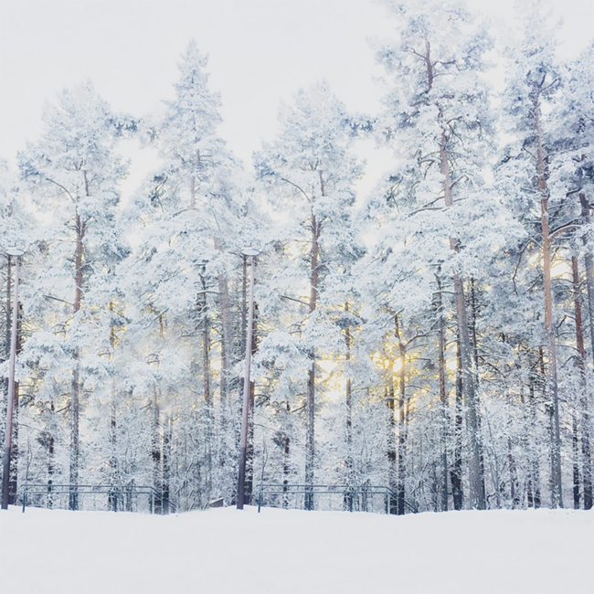 Loimu Glüh Gin Liqueur 0.5 l 20% vol