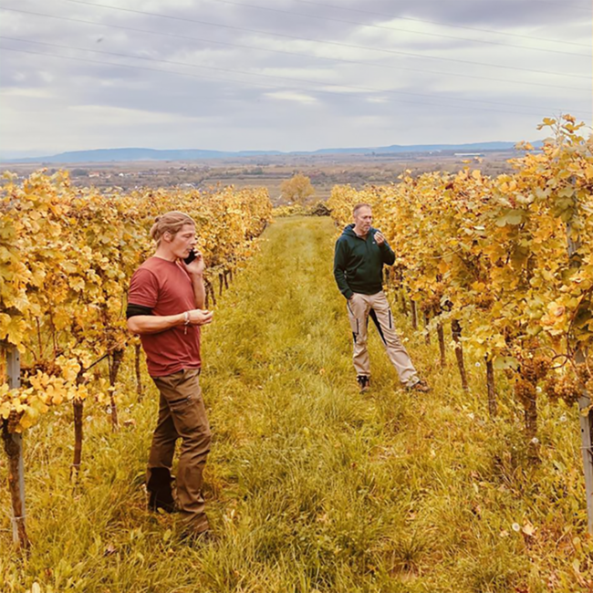 Riesling Steinmassl 1ÖTW DAC Reserve 2018 0.75 l