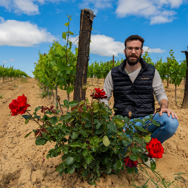 Rosé Delicat Brut Reserva Organic D.O. Trencadís Edition Cava 0.75 l 12% vol