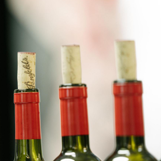 Bin 23 Pinot Noir 2020 0.75 l