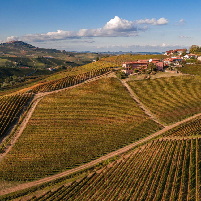 Costamiole Nizza Barbera d'Asti DOCG 2018 0.75 l