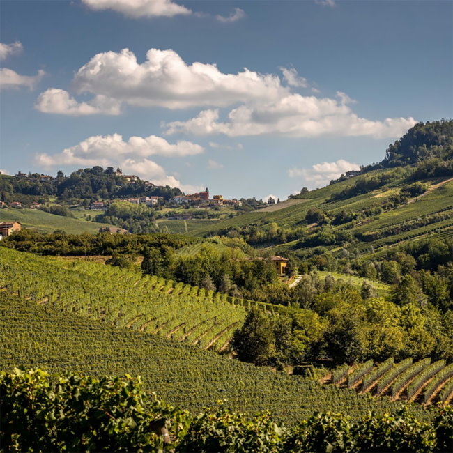 Arneis Langhe DOC 2024 0.75 l