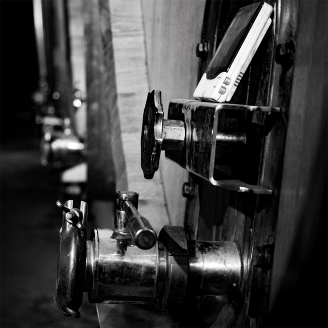 Barolo Bussia DOCG 2020 0.75 l