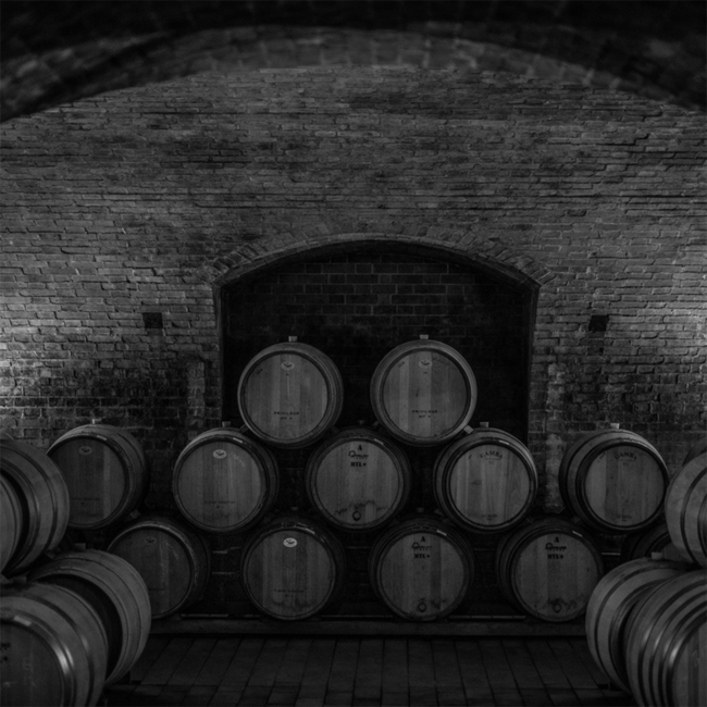 Barolo Bussia DOCG 2020 0.75 l