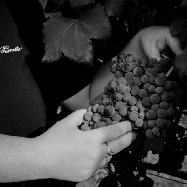 Barolo Bussia DOCG 2020 0.75 l