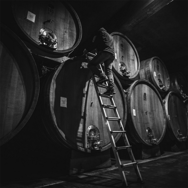 Bansella Barbera Nizza DOCG 2022 0.75 l