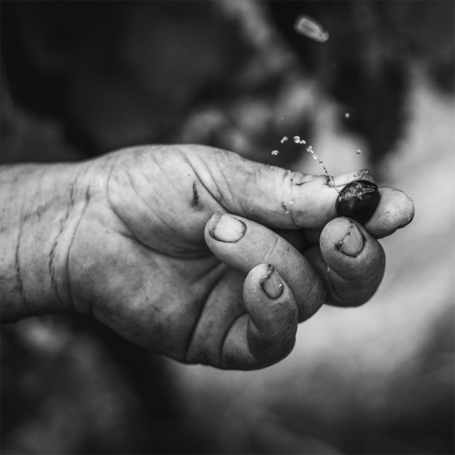 Barolo Bussia DOCG 2019 Magnum 1.5 l