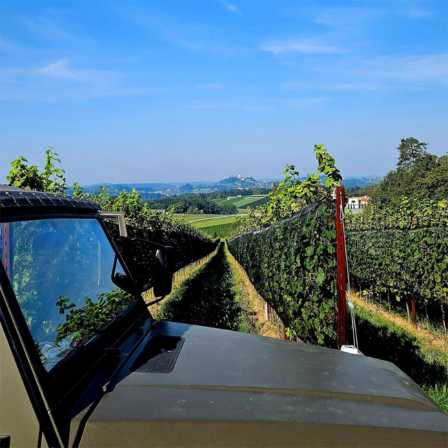 Grauburgunder Vulkanland DAC 2024 0.75 l