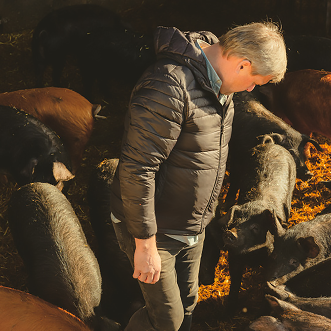 Grauburgunder Vulkanland DAC 2024 0.75 l