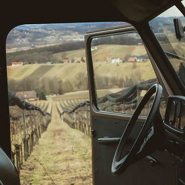 Weißburgunder Vulkanland 2025 0.75 l