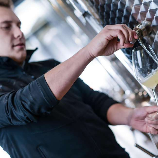 Welschriesling Vulkanland 2024 0.75 l