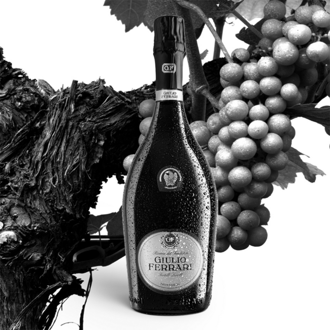 Giulio Ferrari Riserva del Fondatore 2015 0.75 l 12.50 % vol