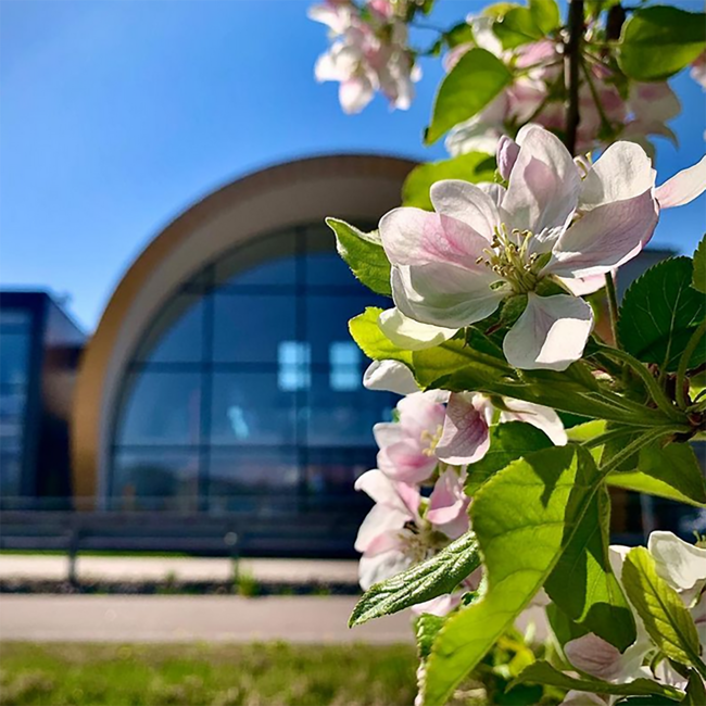 Psenner Honey Williams Likör 0.7 l 25% vol