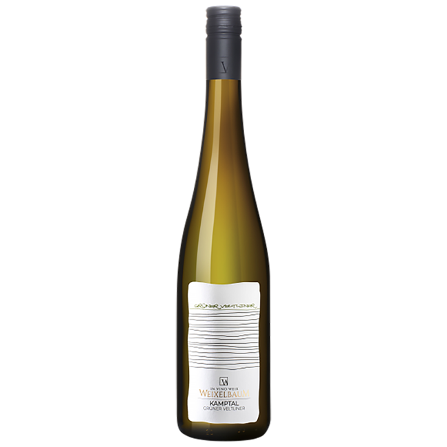 Grüner Veltliner "Stephanus" Kamptal DAC 2022 0.75 l