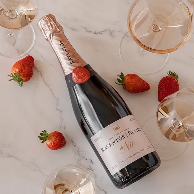 Raventos i Blanc de Nit Rose Cava Magnum 2021 1.50 l 12% vol