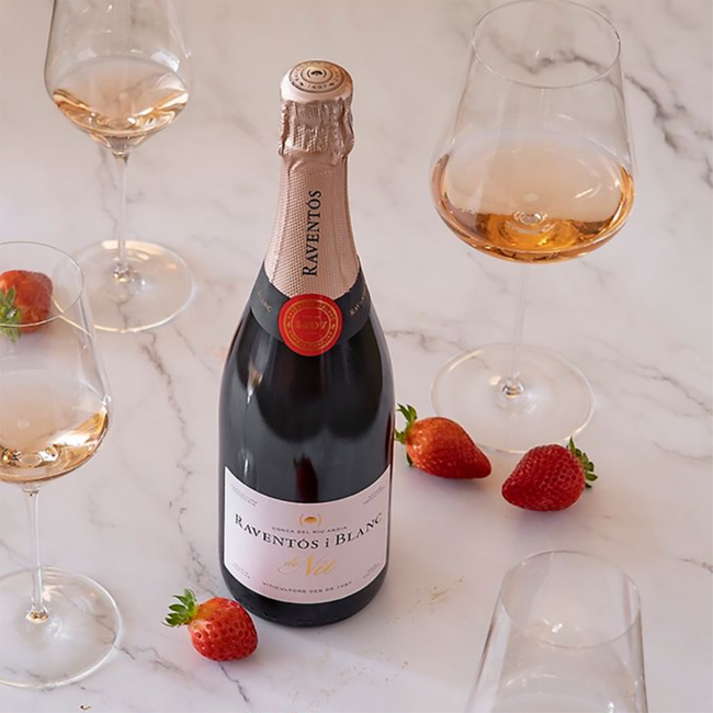 Raventos i Blanc de Nit Rose Cava Magnum 2021 1.50 l 12% vol