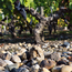 Chateau Montrose 2eme Grand Cru Classe 2019 0.75 l