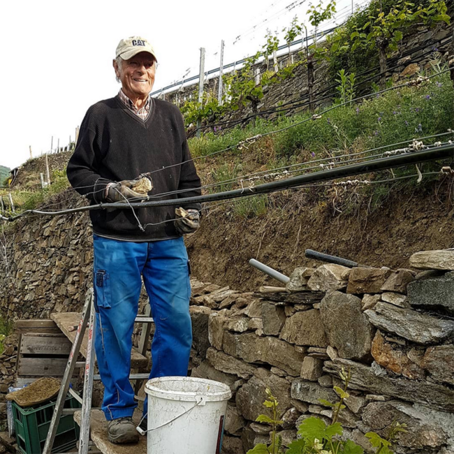 Grüner Veltliner Federspiel Ried Loibenberg DAC 2024 0.75 l