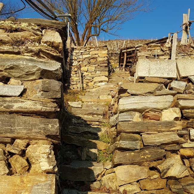 Grüner Veltliner Steinfeder Ried Hochrain DAC 2024 0.75 l