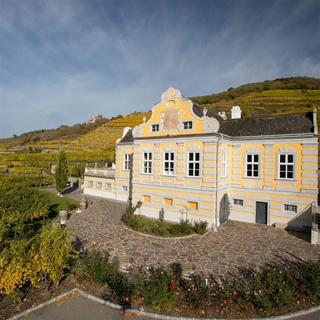 Grüner Veltliner Steinfeder Ried Hochrain DAC 2024 0.75 l
