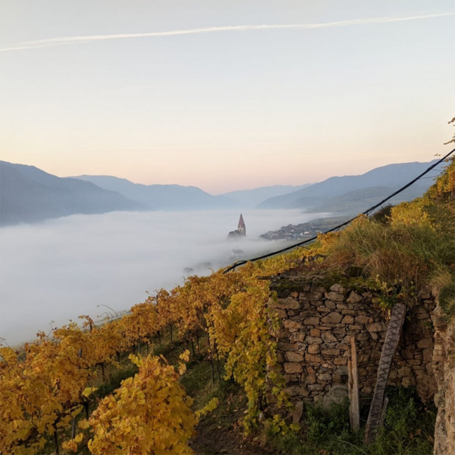 Riesling Smaragd Ried Achleiten DAC 2023 0.75 l