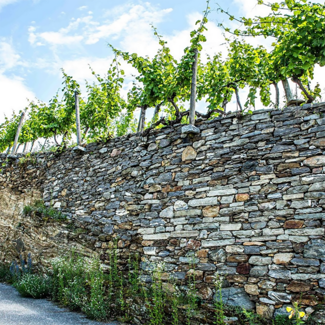 Riesling Smaragd Ried Kellerberg DAC 2023 0.75 l