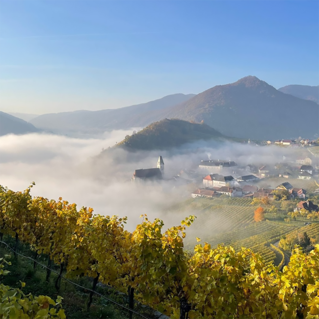 Riesling Smaragd Weissenkirchen DAC 2023 0.75 l