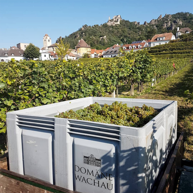 Riesling Smaragd Weissenkirchen DAC 2023 0.75 l