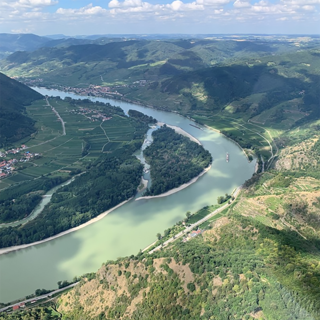 Gelber Muskateller Terrassen DAC 2024 0.75 l