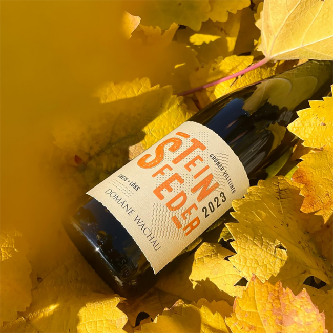 Grüner Veltliner Steinfeder Gneis + Löss 2025 0.75 l