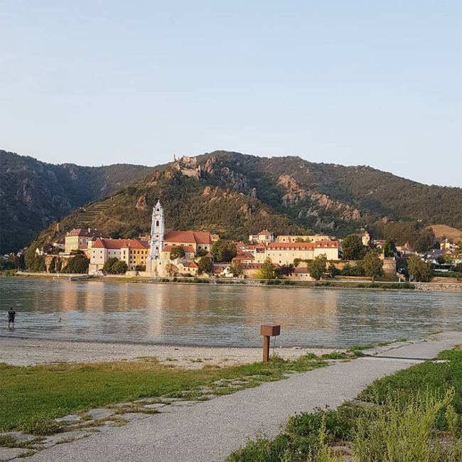 Grüner Veltliner Steinfeder Gneis + Löss 2024 0.75 l