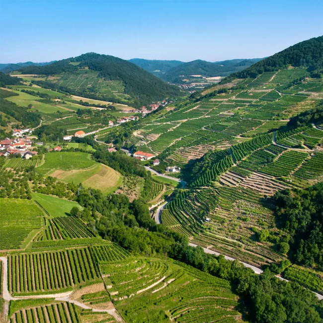 Zweigelt Rosé Federspiel Terrassen Wachau DAC 2024 0.75 l