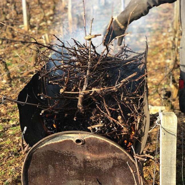 Beaune "Les Avaux" 1er Cru Pinot Noir 2023 0.75 l