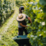 Grüner Veltliner Alte Reben Carnuntum DAC BIO 2024 0.75 l