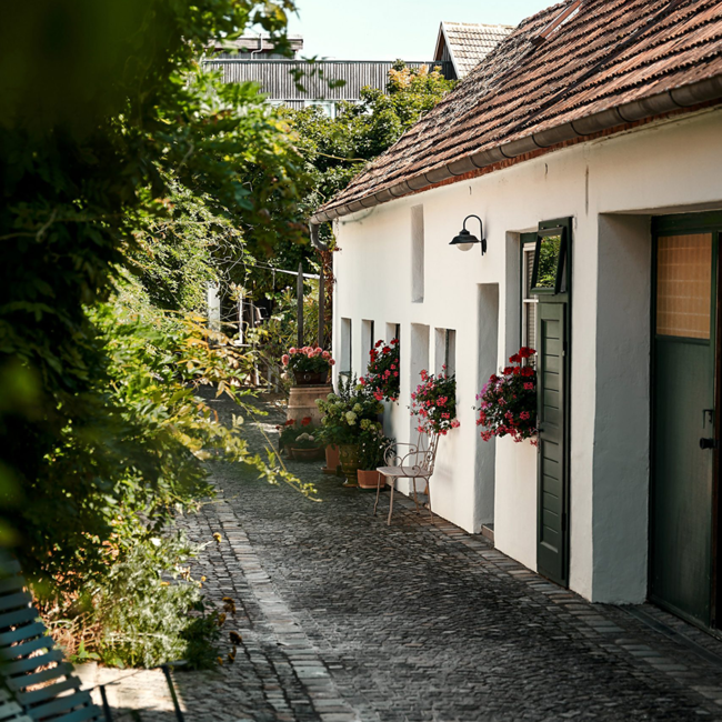 Grüner Veltliner Alte Reben Carnuntum DAC BIO 2024 0.75 l
