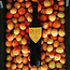 Marillenbrand Edelbrand 0.7 l 43% vol