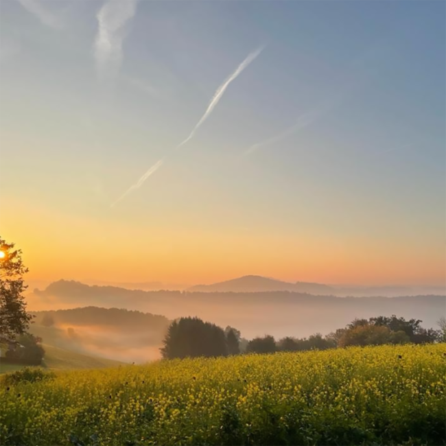 "Alter Apfel" Apfelbrand 0.7 l 40% vol